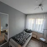 Zum Ringelberg Casa de hóspedes 2*