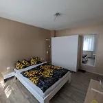 Zum Ringelberg Gæstehus